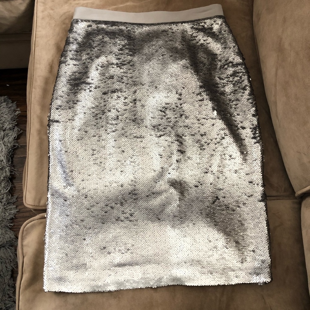 Metallic Sequins Pencil Skirt - sz 6